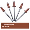 SKIR'CO Pack of 100 Blind Rivets Painted 4.0 x 8