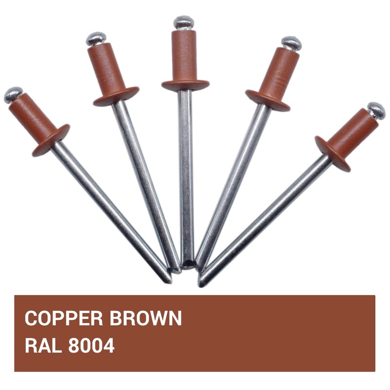 SKIR'CO Pack of 100 Blind Rivets Painted 4.0 x 8