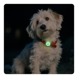 QRtagLab Waterproof Dog Collar Air tag Holder,Stretchy Silicone Full Body Covered Apple Air Tag Holder for Dog Cat Collars (Blue-Luminous)