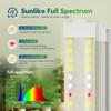 FREELICHT 2 Pack 4FT LED Grow Light, 40W (250W Equivalent),