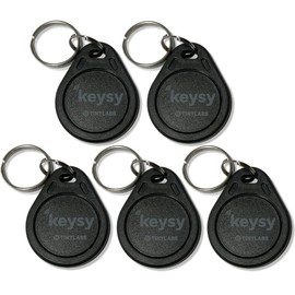 Keysy Rewritable RFID Key Fobs (5-Pack, Black)