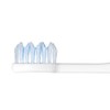 Mystical Rig Kline Mountain Toothbrushes 6 Pairs (Colors)