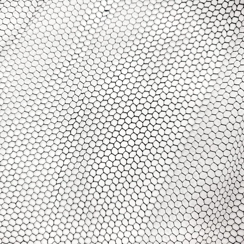 SAFEKO Disposable Honeycomb Nylon Hair Nets | Breathable | 100