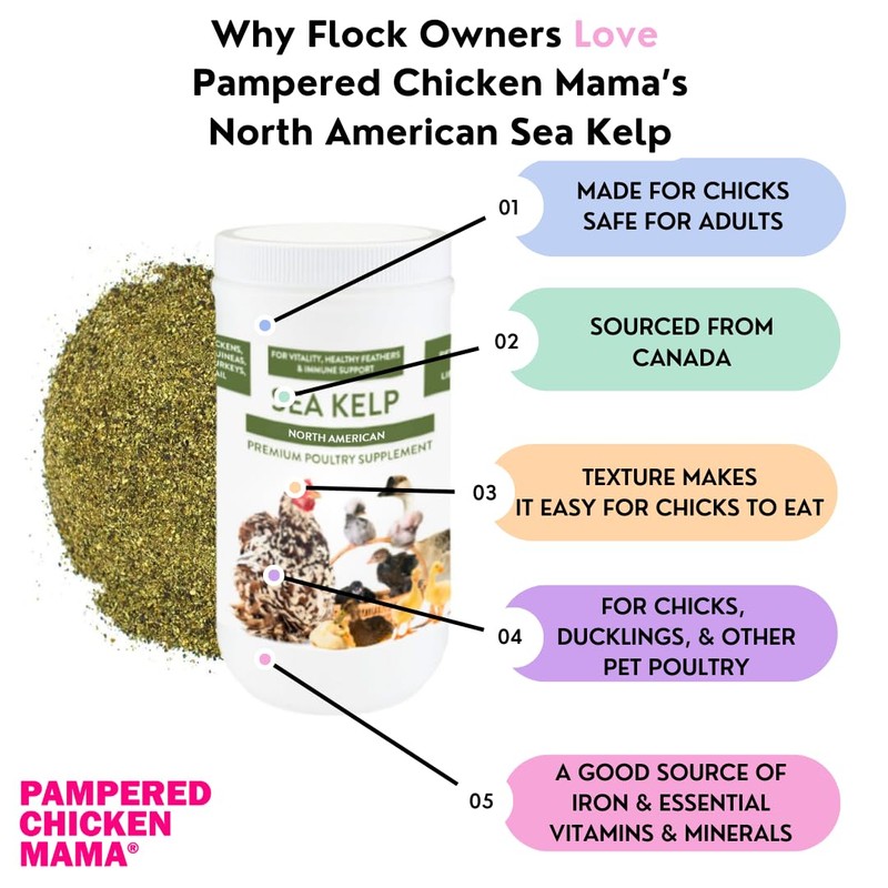 Kelp for Chickens & Duck Feed (5 Pound): Chicken Vitamins