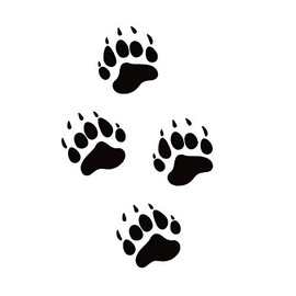 Bear Tracks Decal Bear Tracks Sticker Bear Tracks Room Wall Laptop Tumbler Gear Window Truck Outdoor Wild Sticker 7024 by Waterfowldecals (Medium, White)