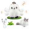 PETGEEK GiGwi Cat Toys Interactive, Bird Chaser Toy (prince, Flapping)