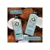 Shampoo Herbal Essences Classics Hidrata Agua de Coco & Jazmín
