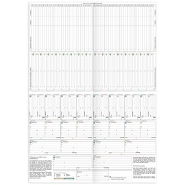 RNKVERLAG My Ancestors Board for 7 Generations, DIN A2 Folded to DIN A4, Natural Paper 160 g/m², Pack of 1