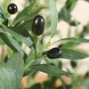 CROSOFMI Artificial Olive Tree Plant 6 Feet Fake Topiary Silk