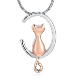 memorial jewelry Cat Urn Necklaces for Ashes for Women Men Cremation Pendant Necklace for Ashes Stainless Steel