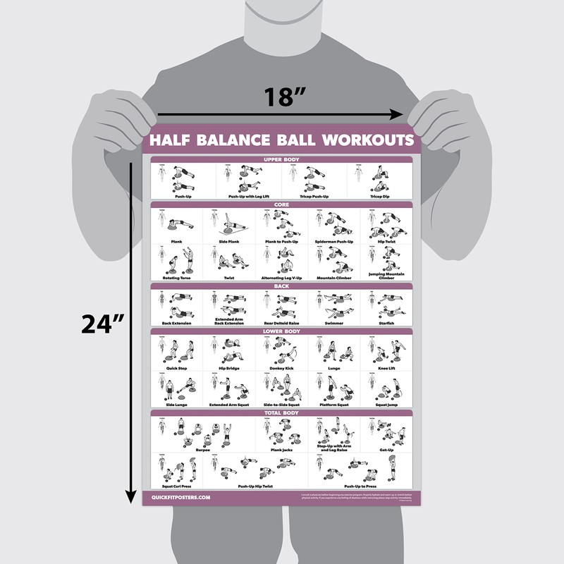 Palace Learning 2 Pack, Half Balance Ball Workout Poster +