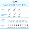 TEGAN LASH 500 Extensiones De Pestañas Promade Fans Volume, Pestañas