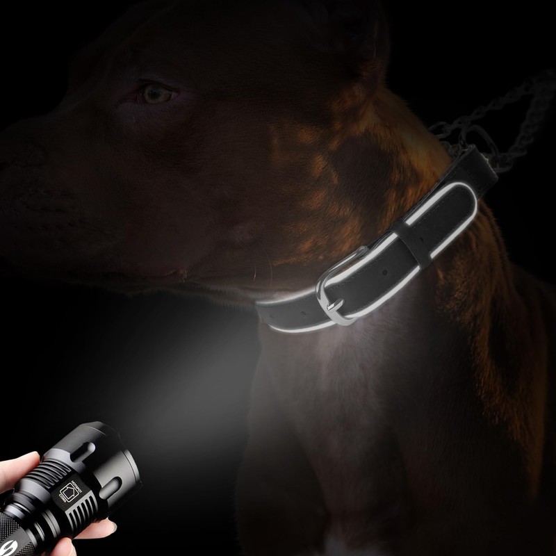 OOPSDOGGY Reflective Leather Martingale Dog Collar - Adjustable No Pull