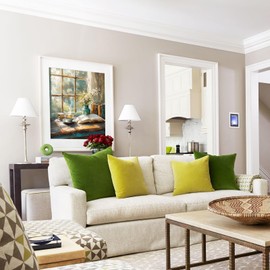 shinefly Paint by Numbers Kit for Adults Kids, 16x20 Canvas Acrylic Paint Without Frame, Flowers Artwork for Beginner, Book and Flowers