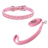 Newtensina Cute Diamante Puppy Collar and Leash Set Bling Microfiber
