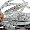 SUSAY 5M Waterproof IP65 300 LED 3528 SMD Flexible LED