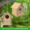 Bluebird House Predator Guards 2 Pcs, Strong Metal Wire Birdhouse