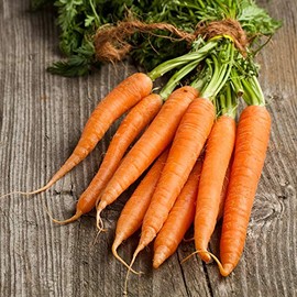 Carrot Seeds - Kuroda Long 8" - 0.25 Oz ~5,000 Seeds - Daucus carota VAR. sativus - Farm & Garden Vegetable Seeds - Non-GMO, Heirloom, Open Pollinated, Annual