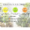 Kishima Deodorizing Goods General Green φ2.2 x H4.1 inches (5.5