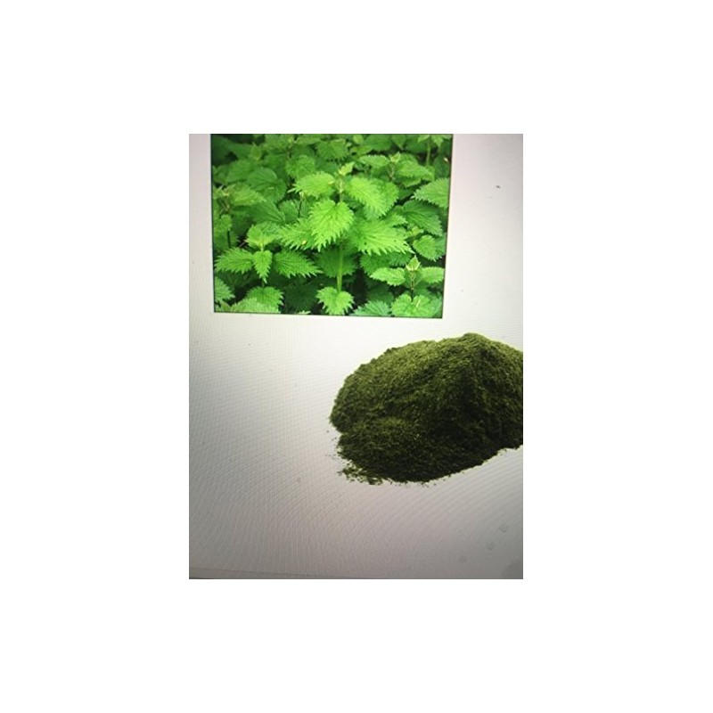 Nettle Oil 16 ounces