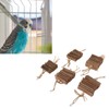 5pcs Parrot Cardboard Chew Toy Funny Natural Bite Resistance Bird