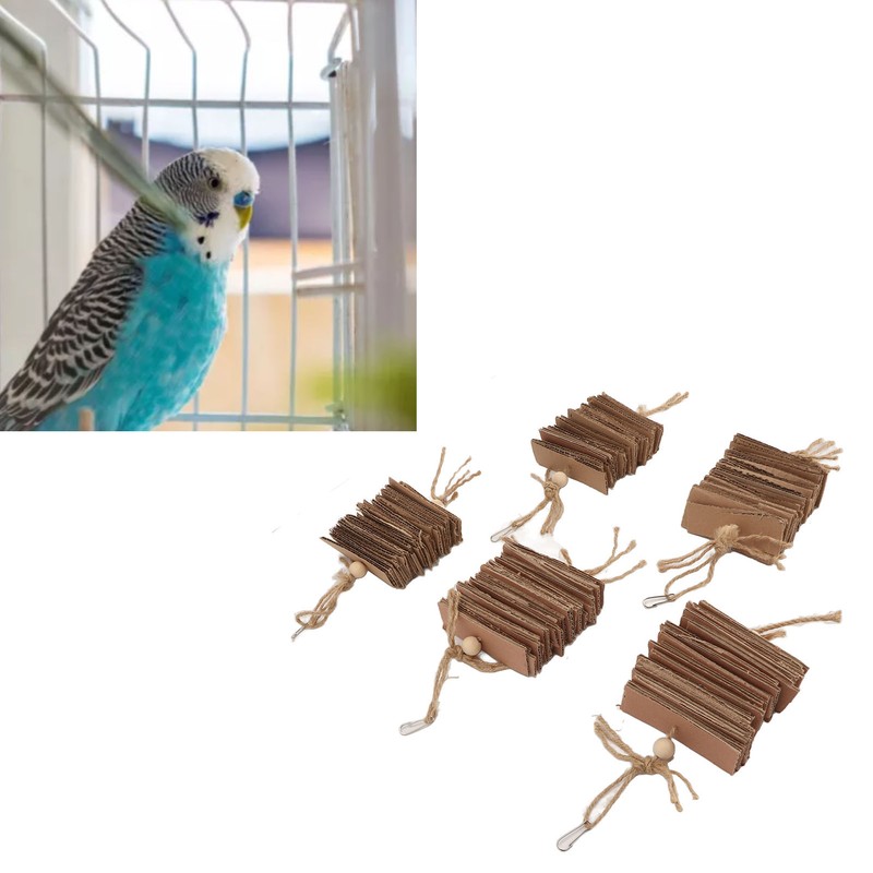 5pcs Parrot Cardboard Chew Toy Funny Natural Bite Resistance Bird