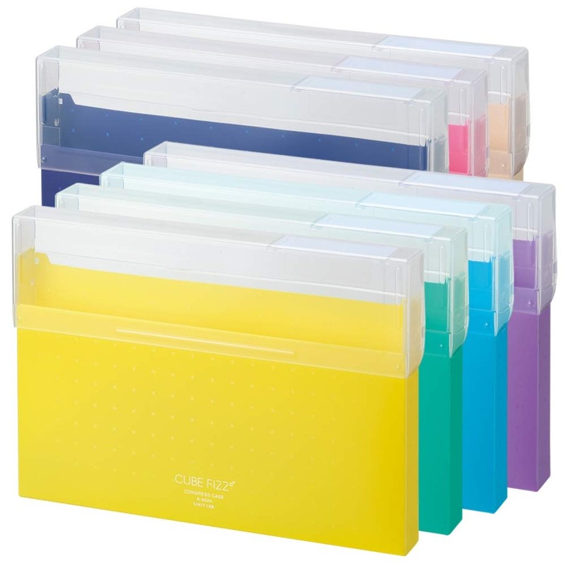 Lihit Lab A6024-7 Document File Case, Congress Case, A4 CUBE