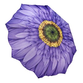 Galleria-Wisteria Daisy Auto-Open/Close Large Portable Rain Folding Umbrella