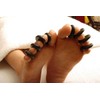 Windfulogo 10Pcs Professional Small Massage Hot Stone Set Natural Lava