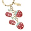 Monnel Z624 Little Strawberry and Cherry Charms Pendants Keyring Keychain