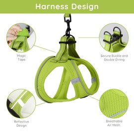 BELLA & PAL Puppy Harness with Leash Set, Dog Harness for Small Dogs No Pull, Dog Leash for Small Dogs, Step in Harness for Extra Small Dogs, Avocado Green Harness, S