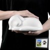 White Sleeping Dog Cremation Urn for Dog Ashes, Resin Pet