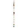 [Baby 31 degrees] Immunity Zero Restorative Ampoule 20ml / [아가31도]