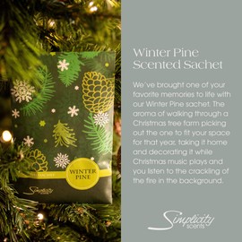 Simplicity Scents Winter Pine Scented Sachets Pack of 6, Fall & Winter - Long-Lasting Scented Bags, Home Fragrance, Air Freshener & Deodorizer for Closet, Room, Drawer, or Cars, Made in USA