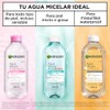 Garnier Skin Active Agua micelar desmaquillante Pure Active para piel