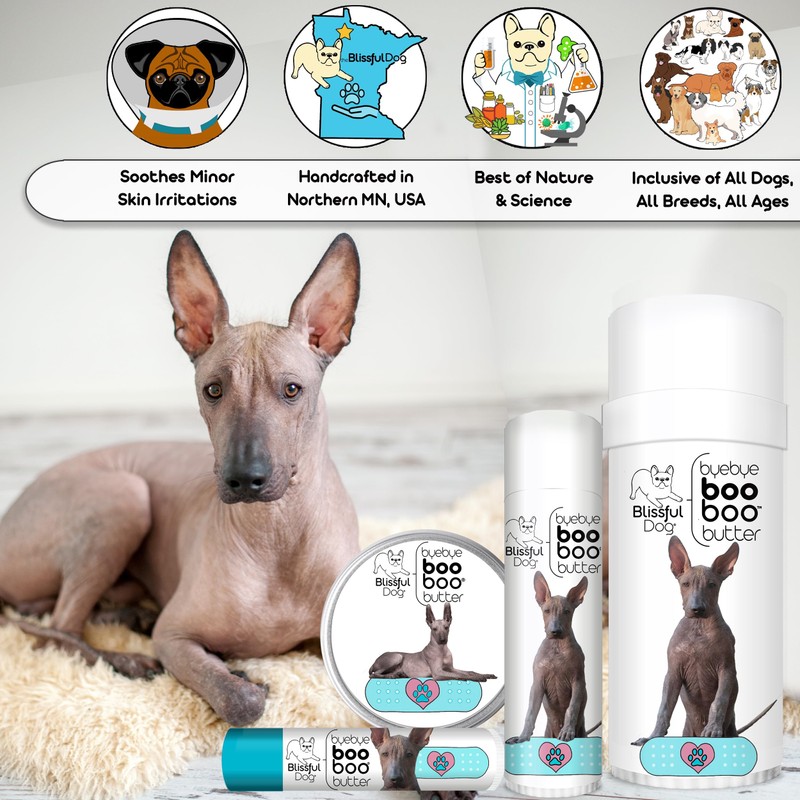 The Blissful Dog Xoloitzcuintli Boo Boo Butter, 8-Ounce