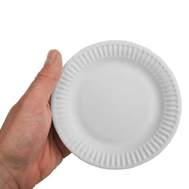 Papstar – 100 Teller, Pappe "pure" rund Ø 15 cm Weiß