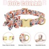 Beirui Cute Girl Dog Collars, Harnesses & Leashes Set -