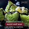 Giusti Fig Glaze Based on Thick Balsamic Vinegar of Modena