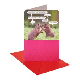 American Greetings Funny Valentines Day Card (Made Up Holiday)