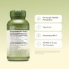 Té Verde Suplemento de té verde, Envase con 100 Cápsulas