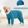 Yeapeeto Dog Onesie Surgery Recovery Suit for Large Medium Bodysuit