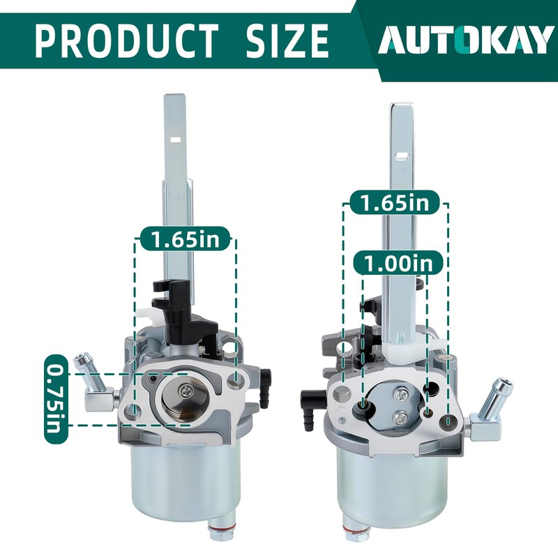 AUTOKAY 20001368 Carburetor Fits for Ariens 920400 920021 920022 920024