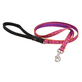 LupinePet Originals 1/2" Alpen Glow 4-foot Padded Handle Leash for Small Pets
