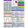 medics Nursing Clipboard -PURPLE -reference sheets -great for clinical