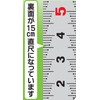 Niigataseiki SK CM-SKD Crack Measure, Quick Level, Straight Scale Type,