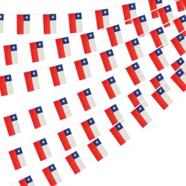 Chile Chileans String Flag Pennant Banner, Small Mini Chile Chileans Bunting Banner National Country Decoration for School, Party, Patriotic Festival, 66 Feet 60 Flags