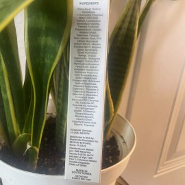 Eternal Rapid Lift Serum By Eternal                Cubre Arrugas En Minutos