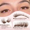Brown Lash Clusters Natural Eyelash Clusters Soft Wispy Dark Brown