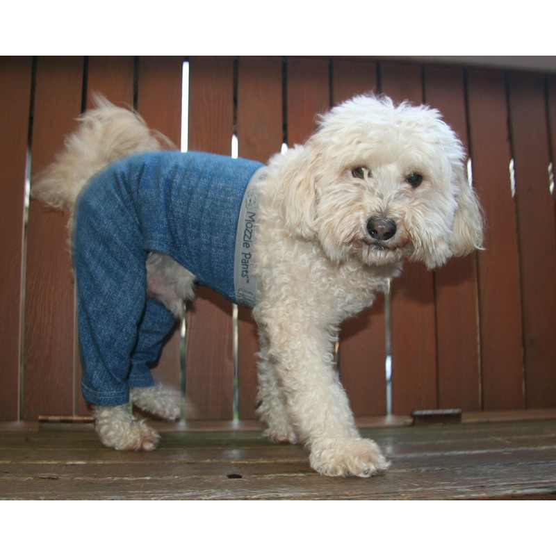 Mozzie Pants Walking E-Collar Alternative, Dog Pajamas, Medium, Blue